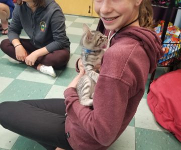 Humane Society cat