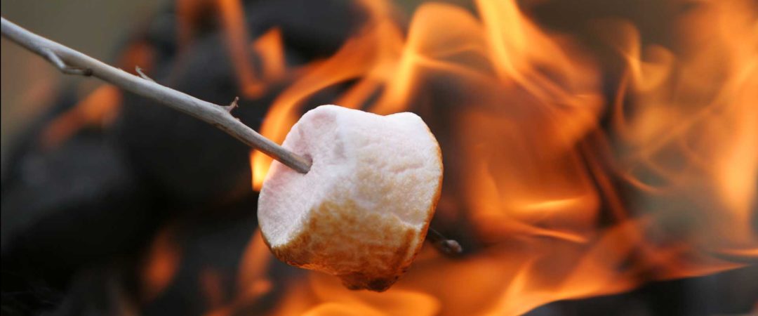 toasting marshmallows on a campfire