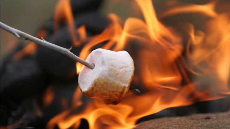 toasting marshmallows on a campfire