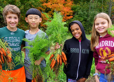 Kids showing their carrot harvest