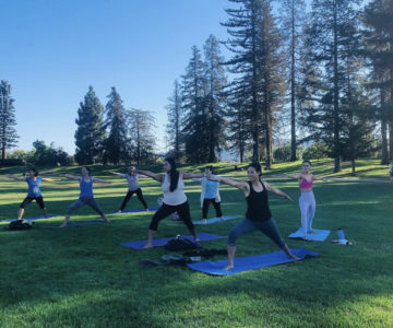Movement Matters at Yoga6