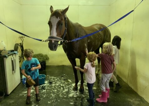 Charlotte Equestrian Center 2