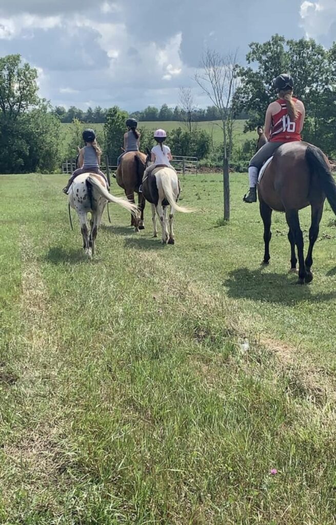 Charlotte Equestrian Center 3