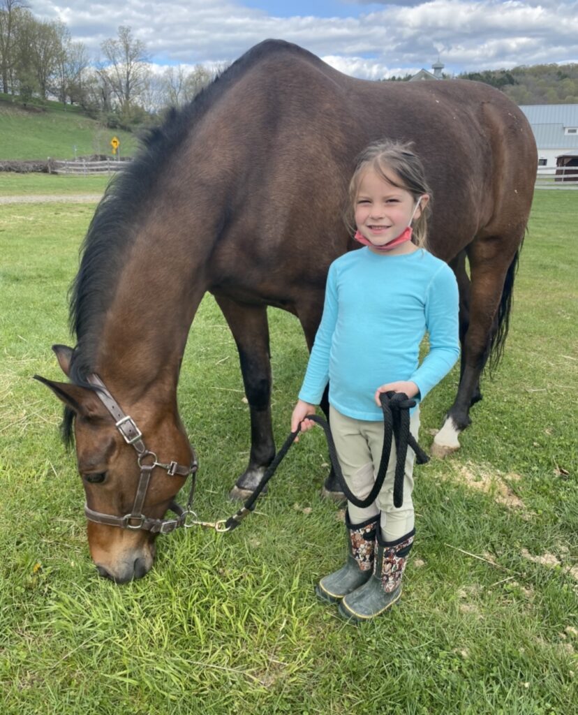 Charlotte Equestrian Center 4