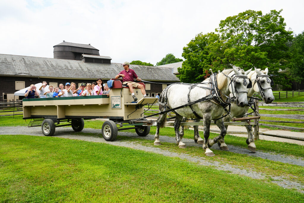 billings_farm_camps_2