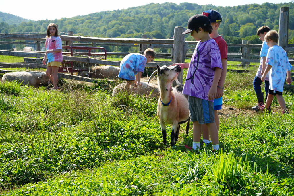 junior_farmer_camp_at_billings_farm__museum_2_copy