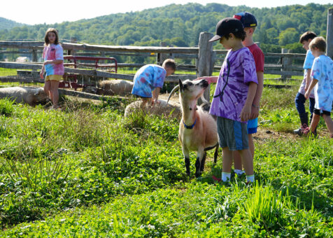 junior_farmer_camp_at_billings_farm__museum_2_copy