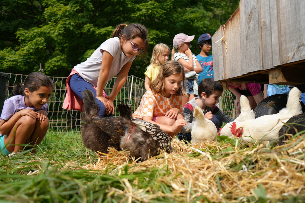 junior_farmer_camp_at_billings_farm__museum_3_copy