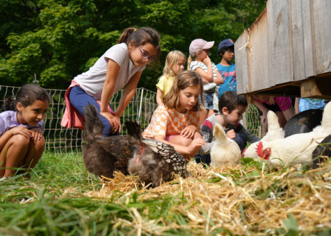 junior_farmer_camp_at_billings_farm__museum_3_copy